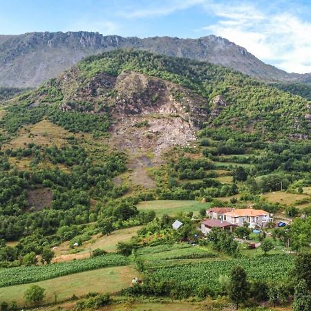Vila Disha Τίρανα Εξωτερικό φωτογραφία