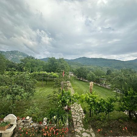 Vila Disha Τίρανα Εξωτερικό φωτογραφία