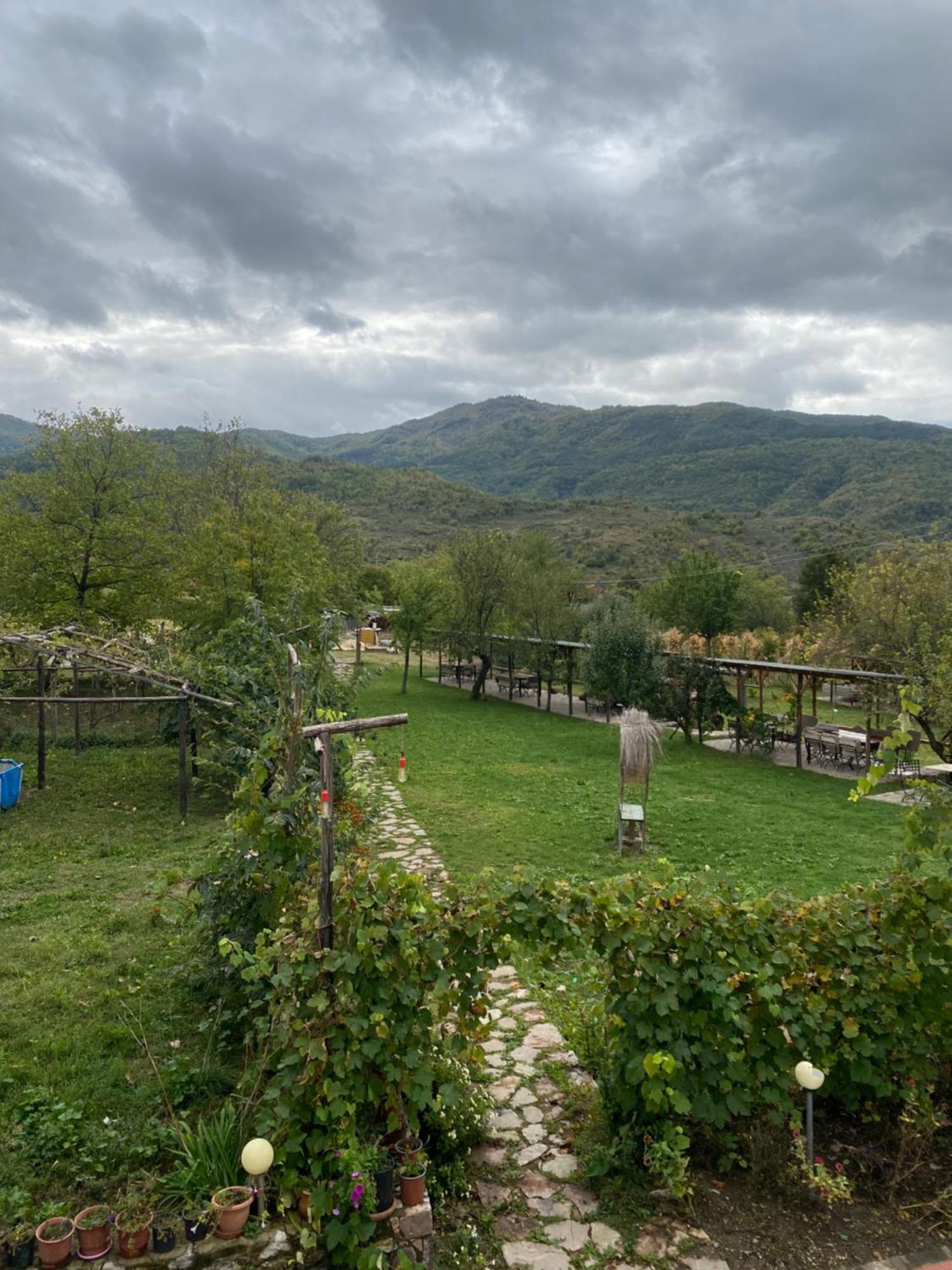 Vila Disha Τίρανα Εξωτερικό φωτογραφία