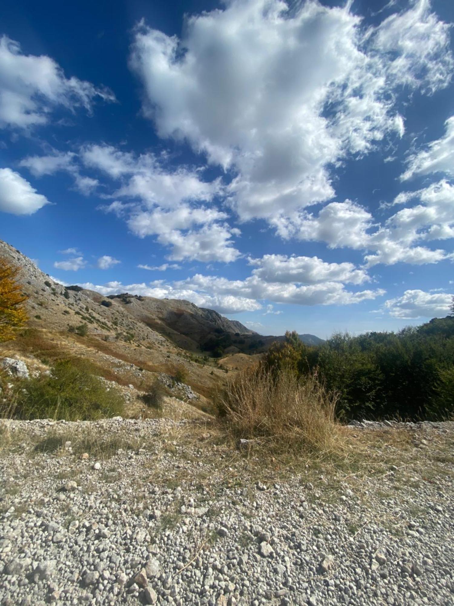 Vila Disha Τίρανα Εξωτερικό φωτογραφία