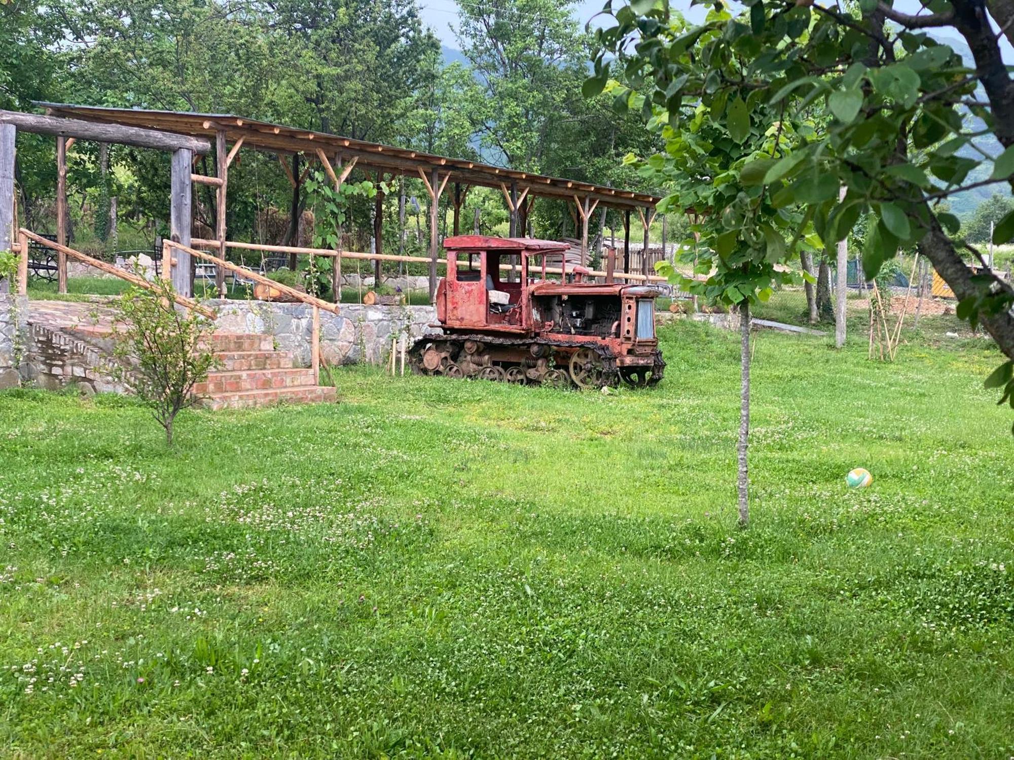Vila Disha Τίρανα Εξωτερικό φωτογραφία