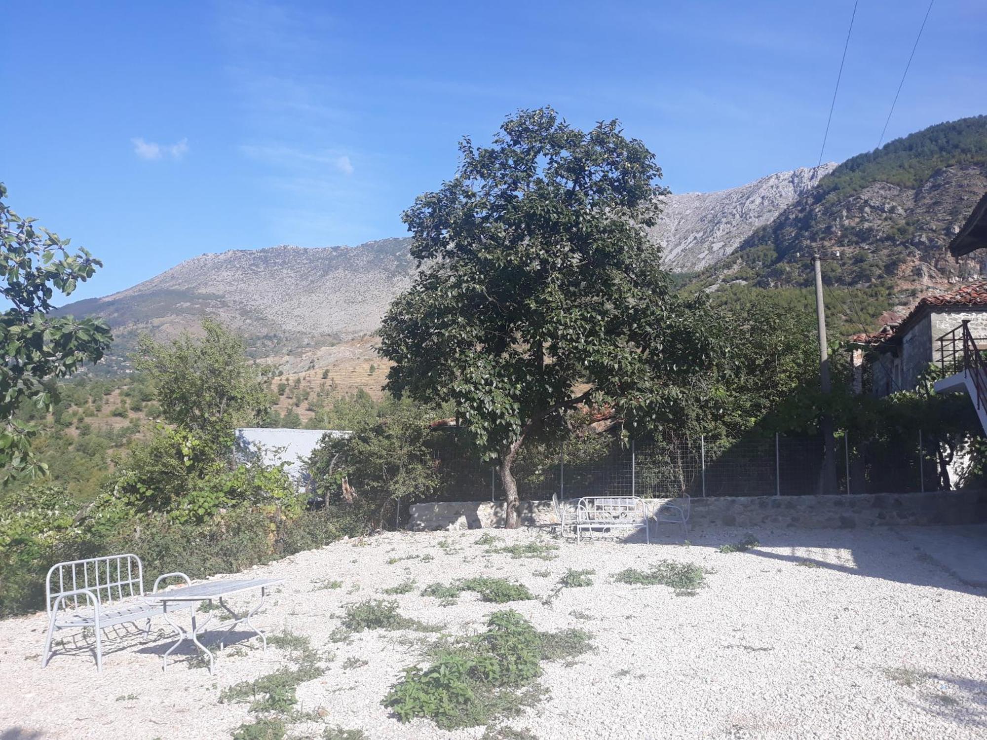 Vila Disha Τίρανα Δωμάτιο φωτογραφία