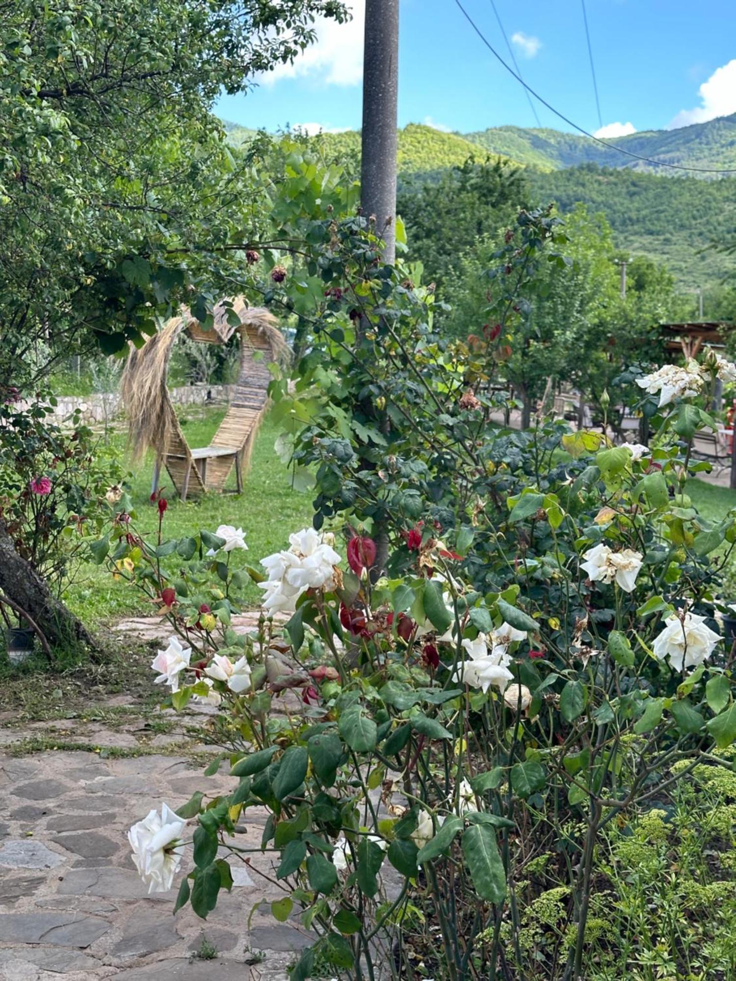 Vila Disha Τίρανα Εξωτερικό φωτογραφία