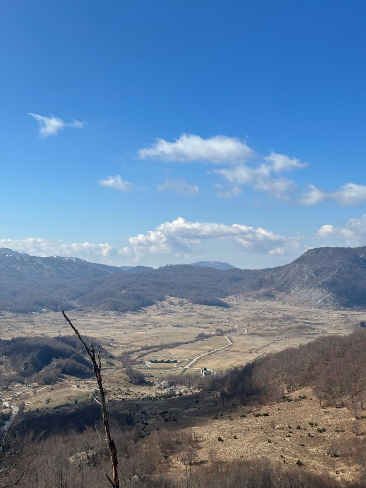 Vila Disha Τίρανα Εξωτερικό φωτογραφία