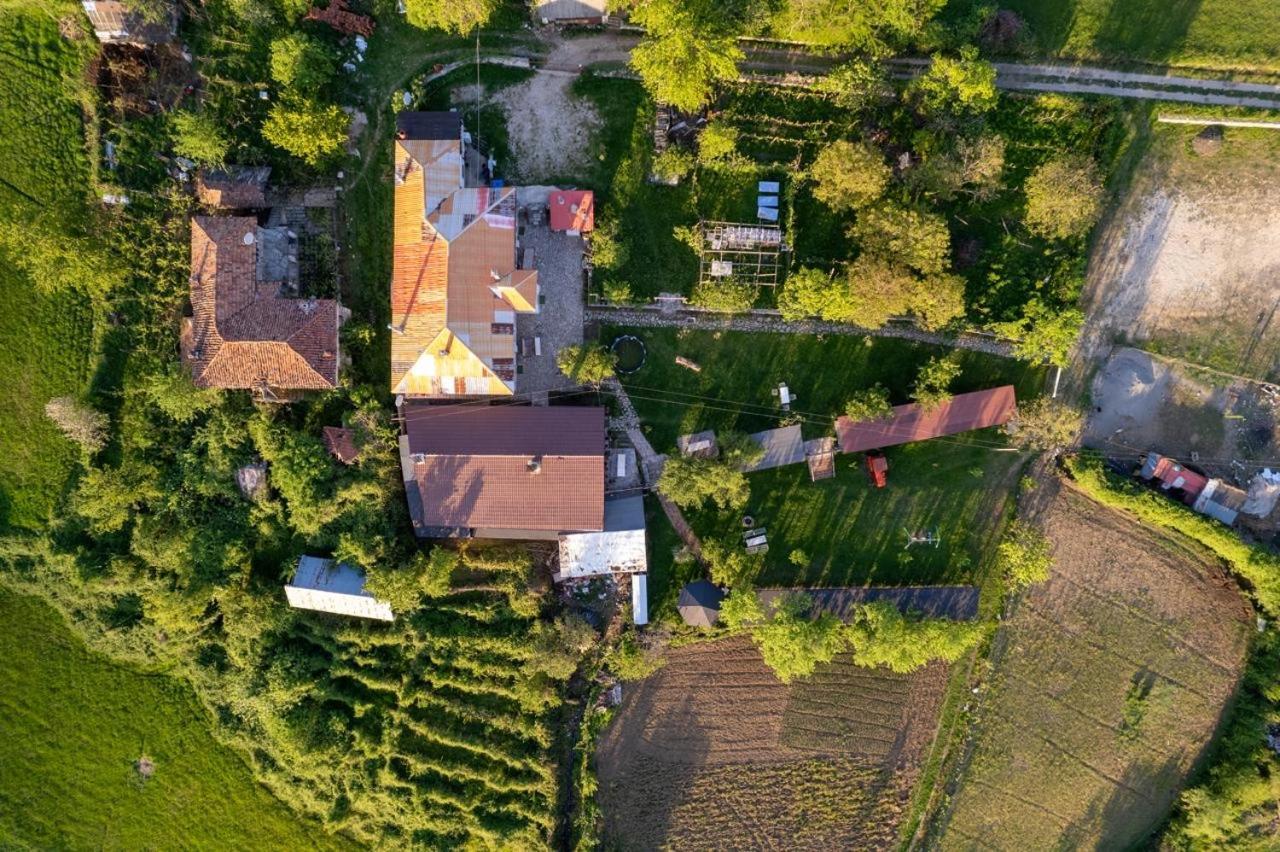 Vila Disha Τίρανα Εξωτερικό φωτογραφία